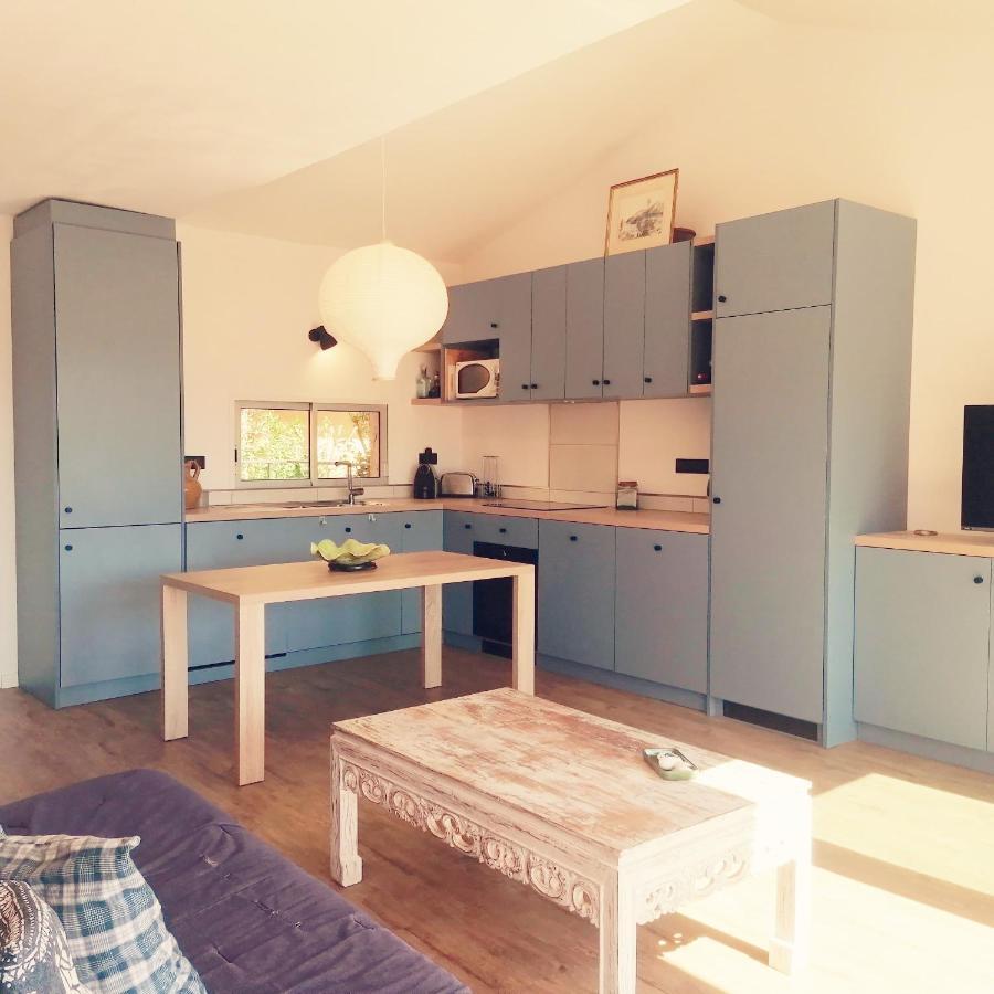 4Ro501 Appartement Avec Belle Terrasse Collioure Eksteriør billede